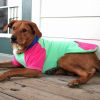 Color-Block Hoodie